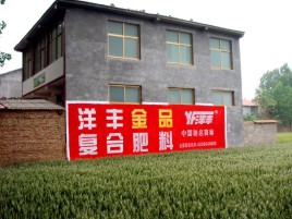 绥德如何让墙体广告展现最大化效果