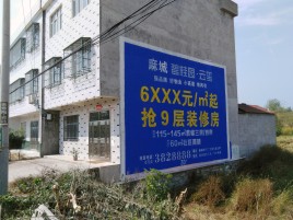 绥德墙体广告质量分析