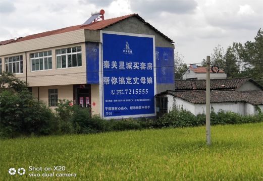 绥德决定墙体广告价格的因素有哪些?