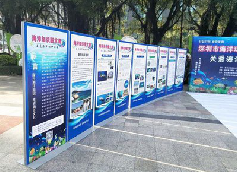 绥德KT板的种类和知识。